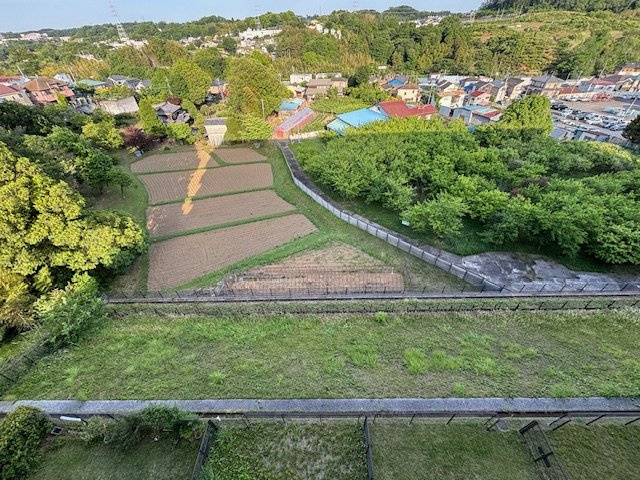 の-の画像