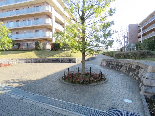 の-の画像