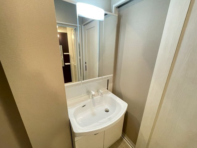 Louis Apartment 長瀬ノールの独立洗面台
