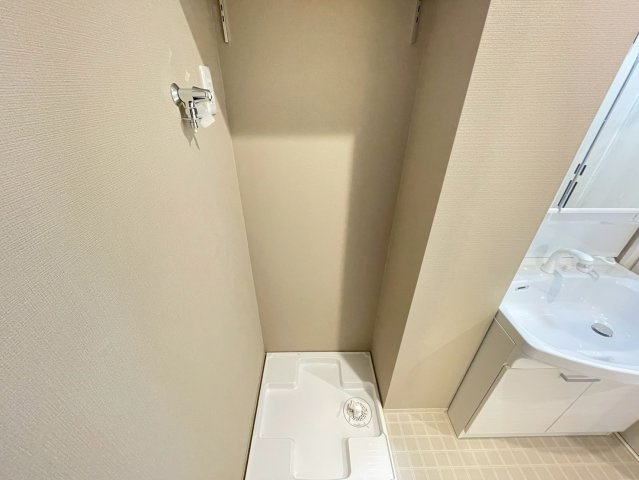 Louis Apartment 長瀬ノールの洗面所