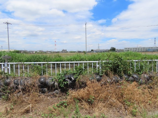 坂戸市片柳売地の展望
