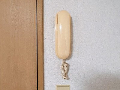 レオパレスドミールのその他