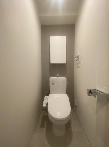 プレサンスＮＥＯ九条ディアシスのトイレ