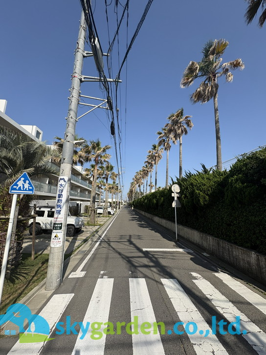 レ・ジェイド辻堂東海岸　ＳＥＡ－ＳＩＤＥ　ＶＩＬＬＡの周辺