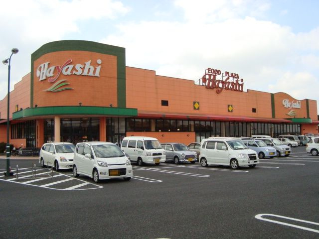 フードプラザハヤシ六ツ野店（スーパー）まで783ｍ