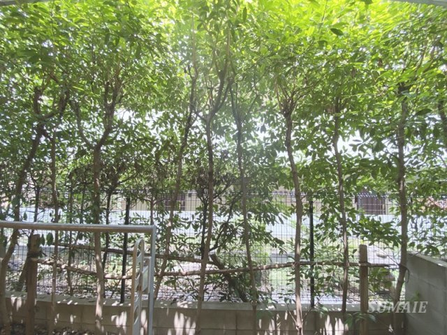 C_Roomsの展望|お部屋の前は植栽があり目隠しになっております☆