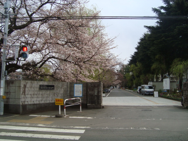 エトワールメゾンの周辺|国立東京学芸大学まで1,123ｍ