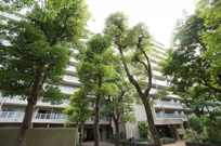 シーアイハイツ和光B棟の画像