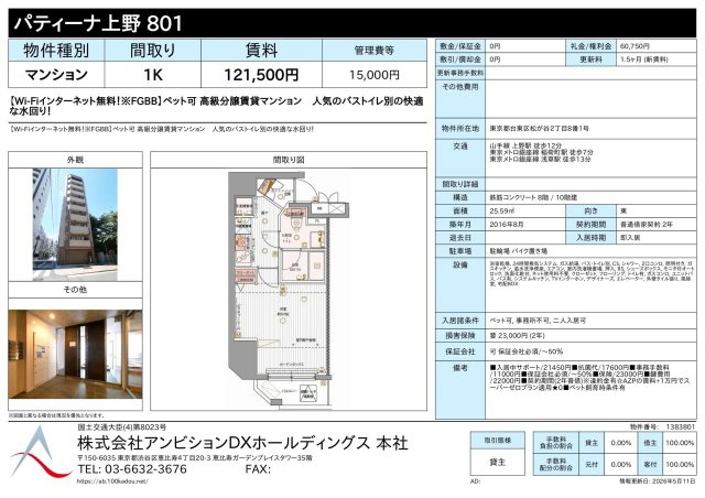 パティーナ上野 