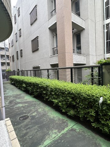 ハイタウン新丸子No.2の展望