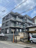 グリーンクレストの画像