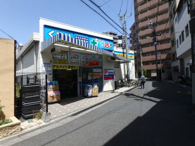 グレースミーナの周辺