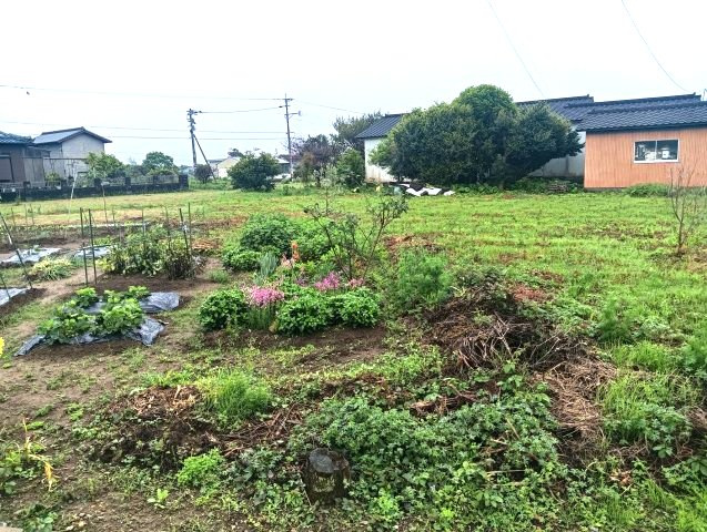 みやき町大字簑原　売地
