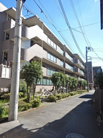 日神パレステージ志茂の外観
