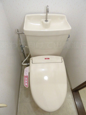 バイオレットハイツBのトイレ