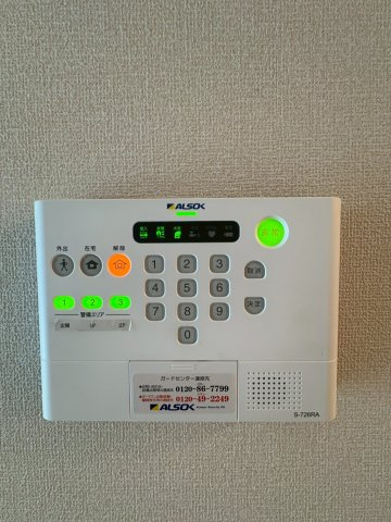 テェルツォラナのセキュリティ