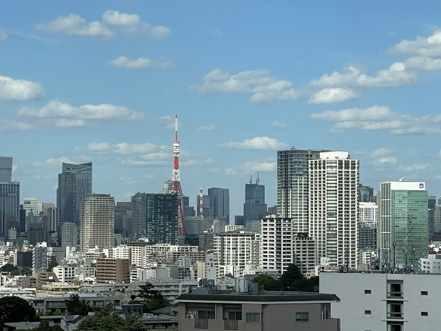 【展望】 | ジオグランデ白金台 | 東京タワービュー