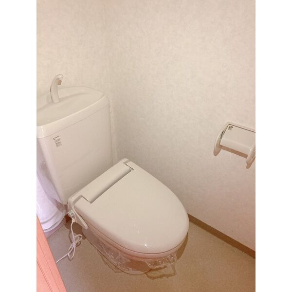 ヴィラ原山南館のトイレ