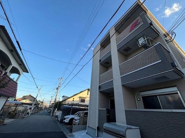 F　asecia chypreの外観