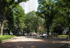 池袋グリ-ンコーポの周辺