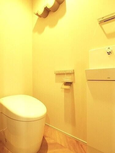 フェリスコート自由が丘のトイレ|トイレも気になるポイント