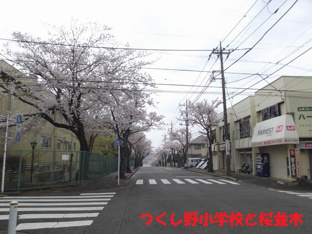 町田市立つくし野小…まで1217m
