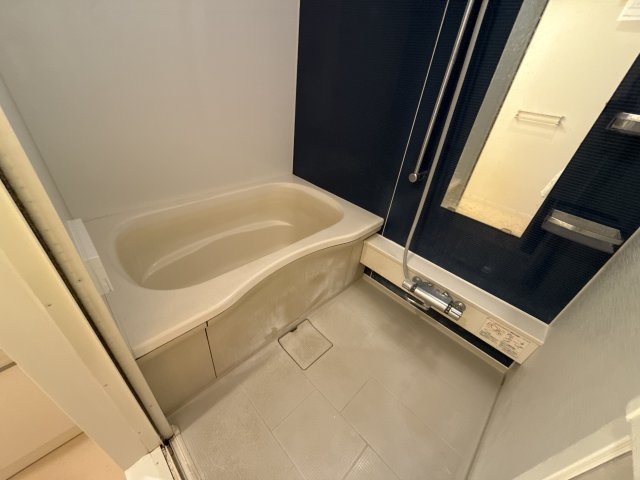 ヴィラーチェ東山の浴室