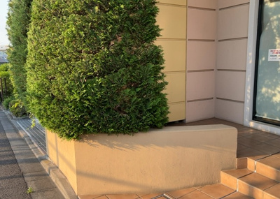 【中庭】 | グランシティワンダーマークス | 中庭（パティオ）とは、一つの建築物の内部に設けられた、壁などで囲われている庭のことを指します。コの字型、ロの字型が主流ですが、L字型の中庭もあります。最近では、インテリア性の高さからも人気があります。