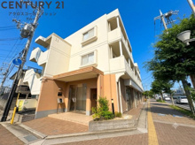 T’ｚREALの画像