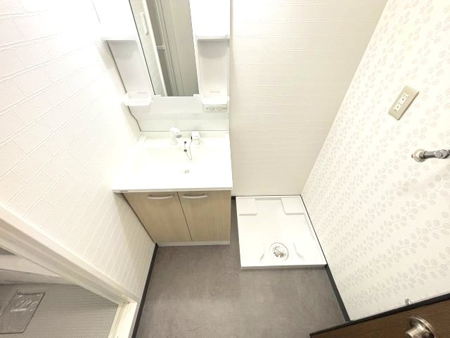 メゾンベルエールの洗面所