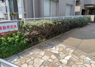 【中庭】 | ジョイフルハイツⅡ南林間 | 中庭（パティオ）とは、一つの建築物の内部に設けられた、壁などで囲われている庭のことを指します。コの字型、ロの字型が主流ですが、L字型の中庭もあります。最近では、インテリア性の高さからも人気があります。