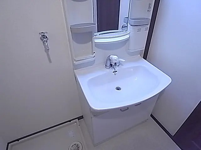 サウスパレス芦屋の洗面所