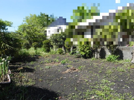 【庭】 | 大室高原別荘地　戸建