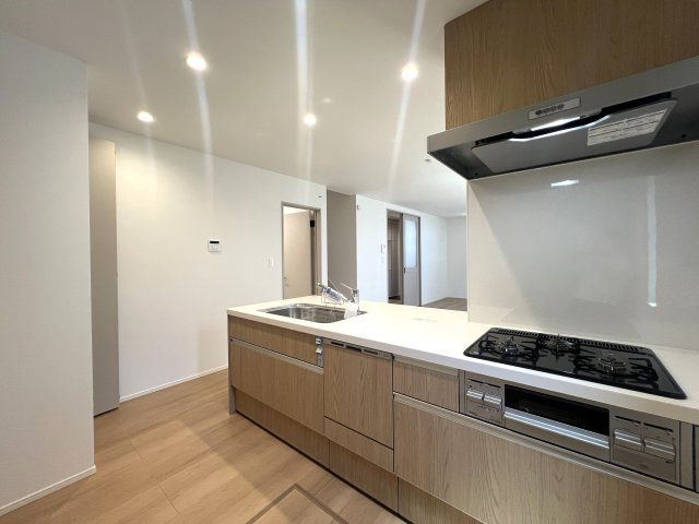 車も電車も便利な立地◎どんな生活スタイルにもバッチリ！！な【大和市西鶴間5丁目新築戸建】のキッチン|使いやすいキッチンです