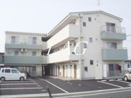 アイリッシュコートの画像