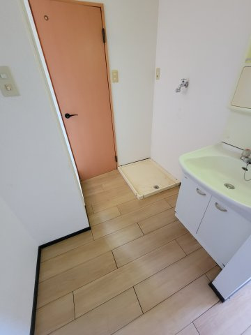 ゴールドハイツD棟の洗面所