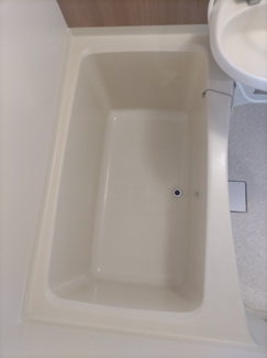 バス