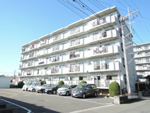 ＹＢＢＣの画像