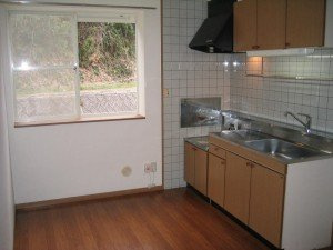 フォレストサイドⅡ番館のキッチン|キッチンです