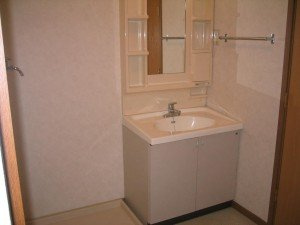 フォレストサイドⅡ番館の洗面所|明るい洗面所です