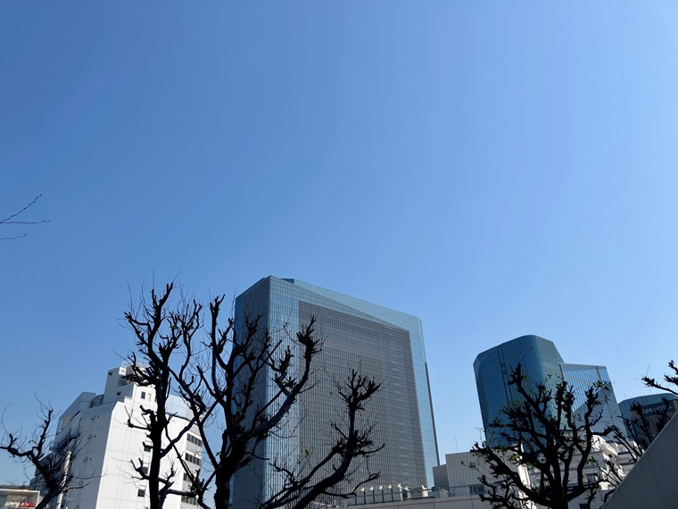 シティインデックス三田伊皿子坂の展望