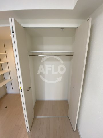 エステムプラザ梅田・中崎町Ⅲツインマークスサウスレジデンスの収納|エステムプラザ梅田・中崎町Ⅲツインマークスサウスレジデンス　クローゼット