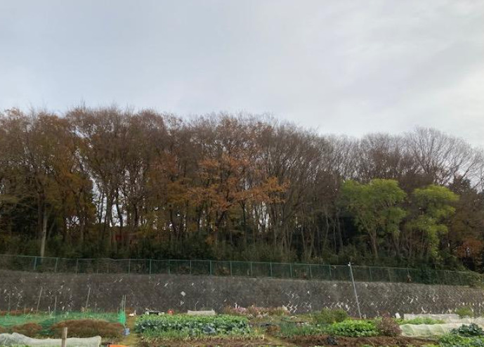 厚木市飯山　売地