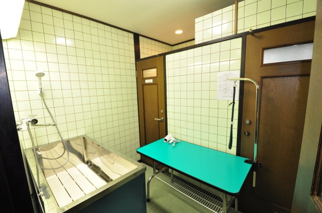 河津町　桜坂温泉別荘地の設備|トリミング　シャンプールーム