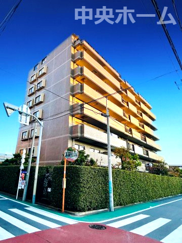ハイネス新小岩親水公園の現況写真|現況写真