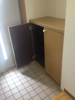 ルネス下中野マンションのその他