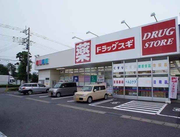 ロイヤルパークＡの周辺|ドラッグスギ天川大島店まで260m