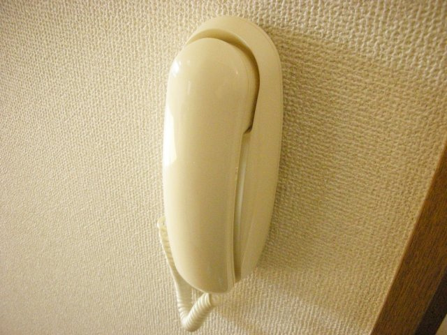 ダイアパインのセキュリティ