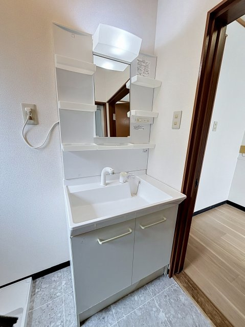 板山町十二丁目戸建貸家の洗面所