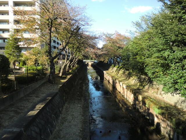 鴻沼川（鴻沼排水路）まで260m